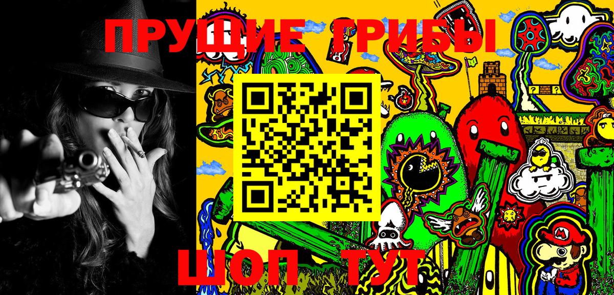 Пушкино  Псилоцибиновые грибы MAGIC MUSHROOMS  купить   Псилоцибиновые грибы Psilocybine cubensis  Вход с VPN 