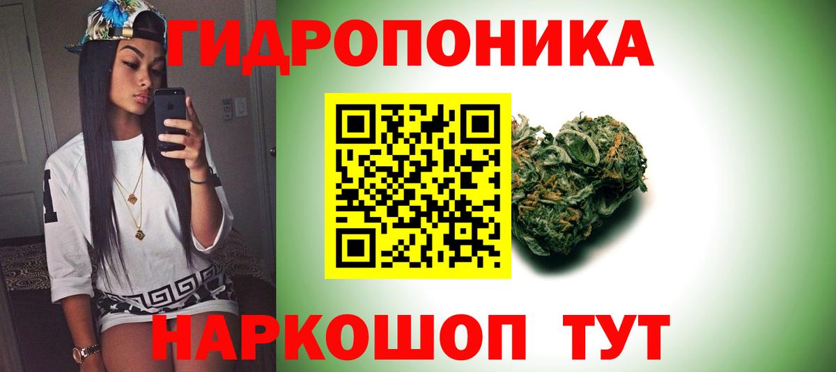 Бошки Шишки семена Пушкино